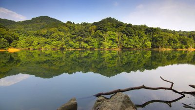【Fever 達人】沒有水淹，但仍是美－城門水塘