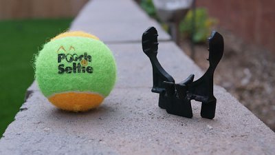 Pooch Selfie︰跟狗狗一同自拍靠網球！