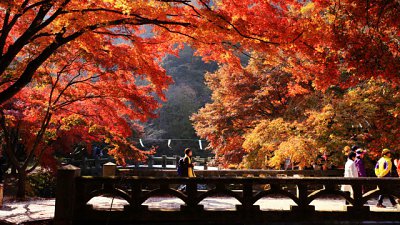 【Fever 達人】韓國八景之首－內藏山國立公園 (內藏寺與白羊寺)
