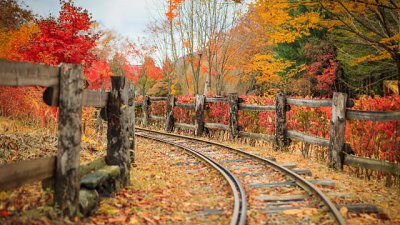 【Fever Travel】韓國深秋紅葉攝影