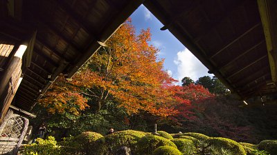 【Fever 達人】第一次外遊 - 2015 京都大阪紅葉遊