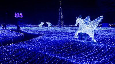 【Fever Travel】京都燈雪節 Kyoto Illumiere