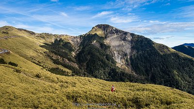 【Fever Travel】[台灣] 山岳之美 - 合歡山