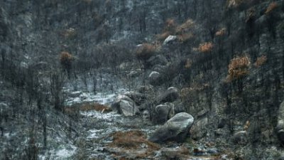 【攝影好去處】青山- 不。青