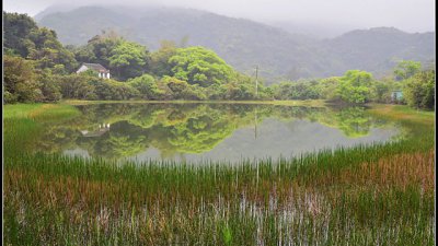 【攝影好去處】烏蛟騰->九擔租村->三椏村->小灘->荔枝窩村 閒遊