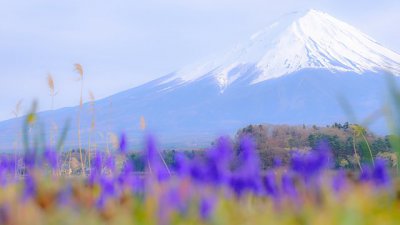 【Fever Travel】富士山 - 日與夜之美