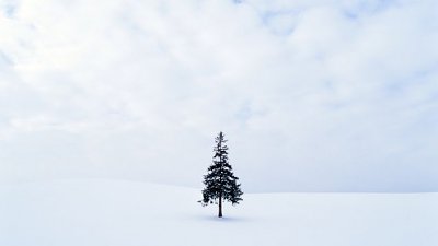 【舜舜Daddy 專欄】減法的藝術