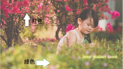 【Calvin 爸爸專欄】做個好【色】之【圖】 - 色彩構圖篇