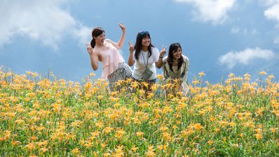 【Fever Travel】風暴來襲前的六十石山金針花海