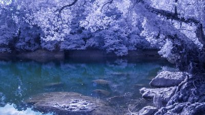 【花影館專欄】紅外線 . 城門水塘