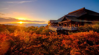 【Fever 達人】京都　楓．景