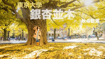 【Fever 達人】秋之散策 東京大學銀杏並木