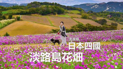 【露伊@流浪攝專欄】淡路島花畑│日本四國遊