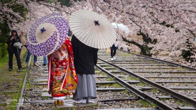 【Fever達人】關西賞櫻之旅－京都府篇
