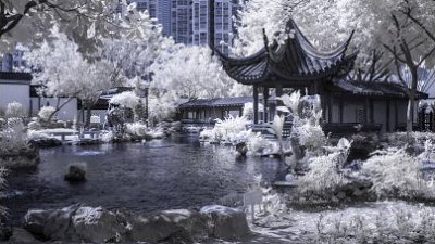 【花影館專欄】紅外線・古色古香