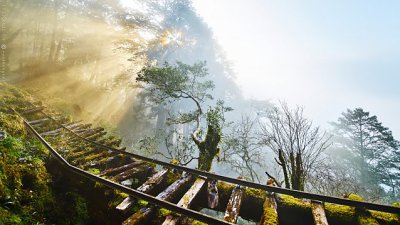 【Fever 達人】台灣衝日之旅