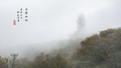 【攝光寫影專欄】白果山頌 ─ 大帽山濃霧之妙筆丹青