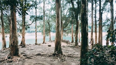 【Fever 達人】城門郊野公園