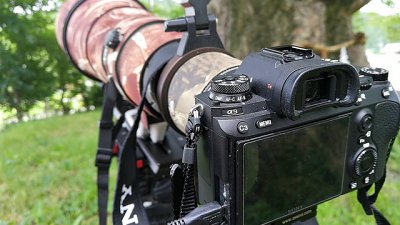 【Fever 達人】Sony A9 X SEL100-400GM 鳥攝深度試