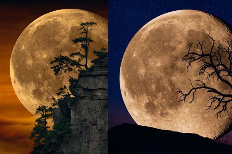 "moonlit dreams"的月球被指与 lik 另一幅作品"bella luna"的完全