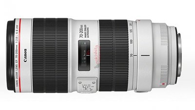 【Canon 小白 IS 三代】EF 70-200mm f/2.8L IS III 曝光！