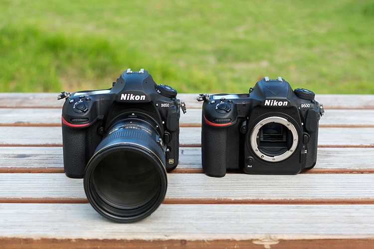 超遠攝原來好好玩︰Nikon 300mm PF VR 決戰兩種片幅！ - DCFever.com