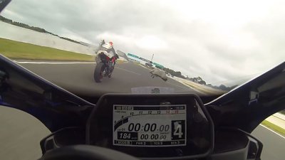 【有片】飛車撞「雀」？結局同樣慘！