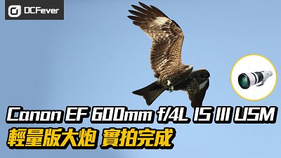 【輕量版大炮】Canon EF 600mm f/4L IS III USM 實拍完成