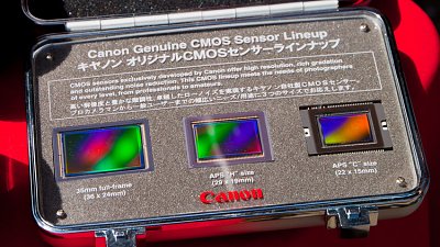【精準度更高】Canon Quad Pixel AF CMOS 開發中