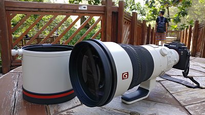 好炮成雙：傳 Sony 日內發表 600mm F4 GM 及 200-600mm F5.6-6.3 G！