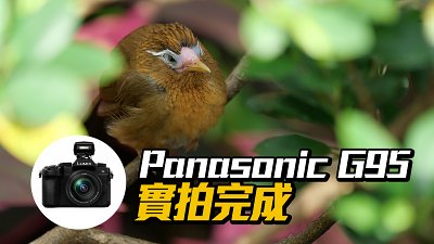全面進化：Panasonic G95 實拍完成