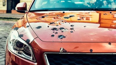 【街泊福音】人工雀糞實測！Ford 研發強化車漆