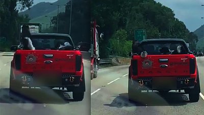 【愛護動物】農夫車尾載兩犬高速行走險象環生　網民怒批主人「無腦」！