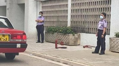 【勇者無懼】司機磨機出走「第一城」　網民：罰錢變刑毀！