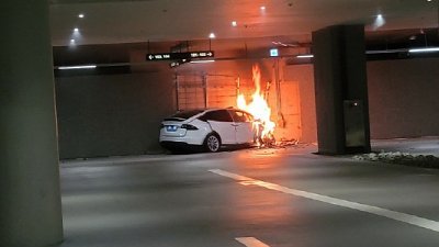 【有片】韓國代駕開 Tesla Model X 炒到起火　車主慘被燒死