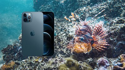 iPhone 12 Pro Max 六個水底攝影心得：達人認為更勝運動相機