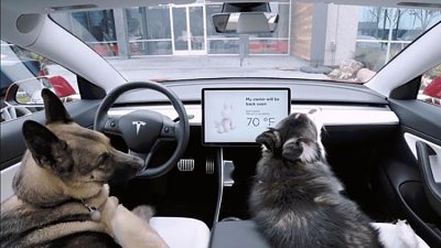 【寵物專用】Tesla 推專屬配件　Model 3 變身安樂寵物窩