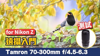 遠攝入門 Tamron 70-300mm f/4.5-6.3 Di III RXD For Nikon Z 測試