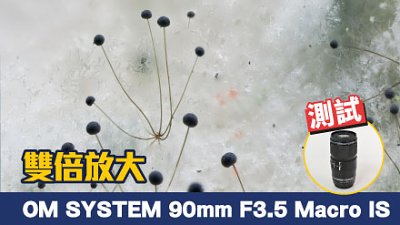 雙倍放大 OM SYSTEM 90mm F3.5 Macro IS 詳測