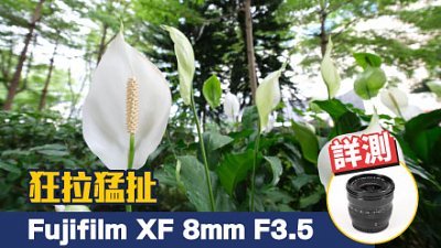 狂拉猛扯 Fujifilm XF 8mm F3.5 R WR 詳測