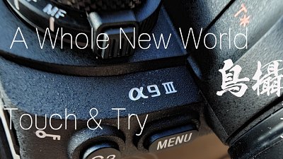 【兔子俾 專欄】A Whole New World-A9III Touch & Try 之鳥攝預想