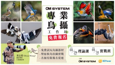 【免費報名】OM SYSTEM 專業鳥攝工作坊！速搶塱原候鳥拍攝實戰名額