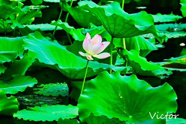 dcf-travel-img-52543