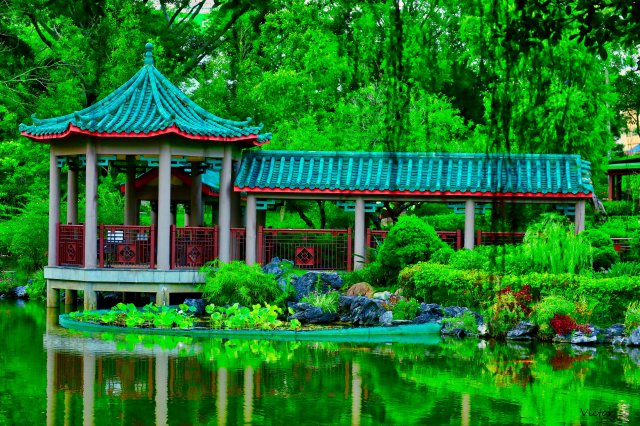 dcf-travel-img-52544