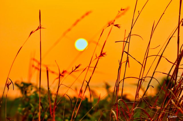 dcf-travel-img-52546