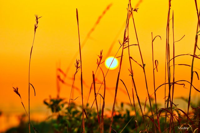 dcf-travel-img-52547