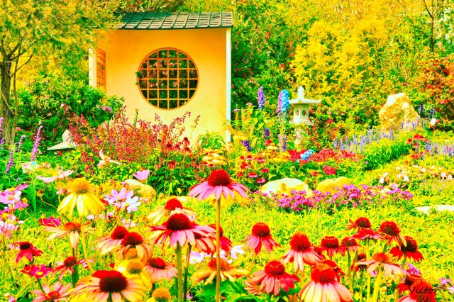 dcf-travel-img-52548