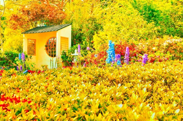 dcf-travel-img-52549