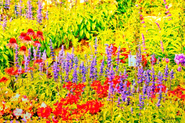 dcf-travel-img-52550