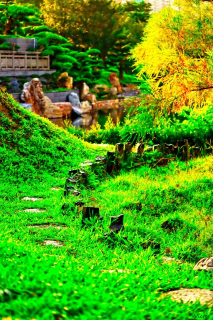 dcf-travel-img-52554